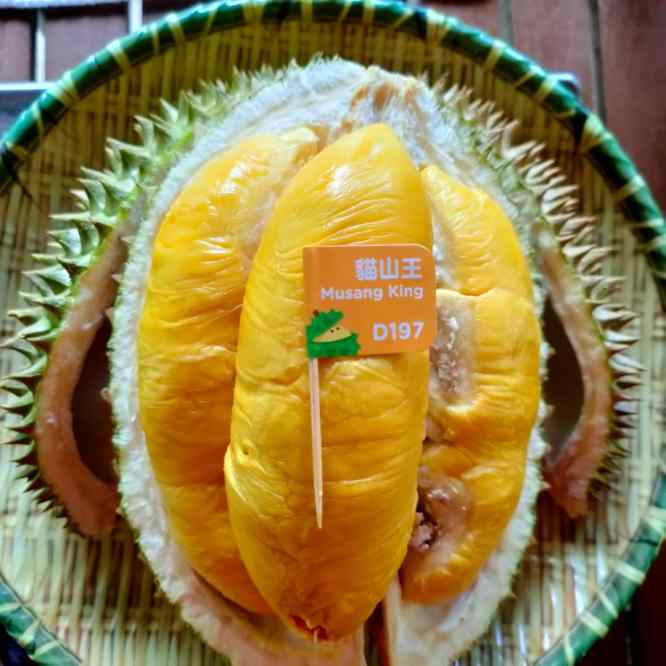 D197 Musang King (350g) DurianBB Malaysia