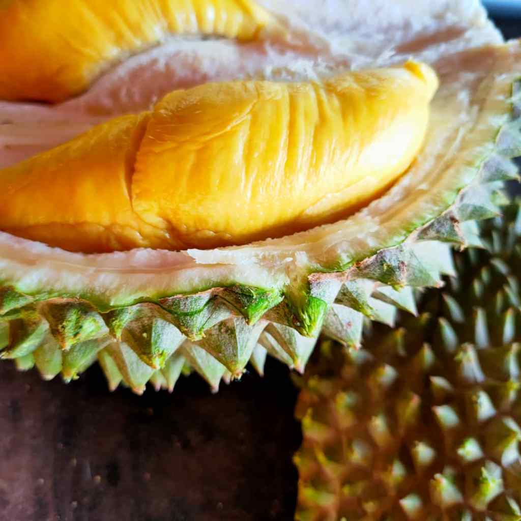 Opened Musang King durian with intact husk, displaying its vivid golden-yellow flesh, creamy texture, and a medley of unique flavours.