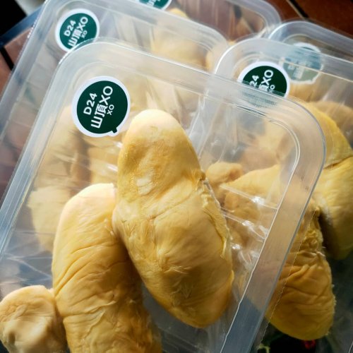 at least 5 packs of the durian d24 or the durian xo ready for delivery