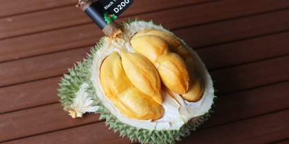 durian black thorn opened