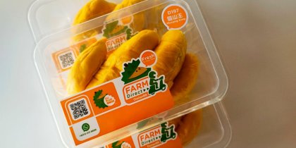 Farm Direct D197 mao shan wang durian vacuum packed for delivery