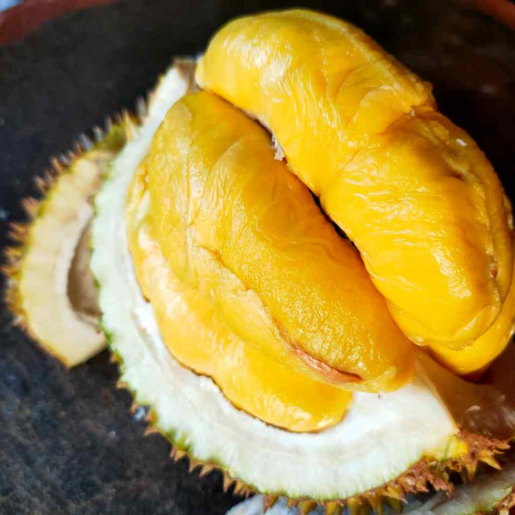 Opened Musang King durian displaying vibrant yellow flesh, buttery texture, and enticing aroma in a spiky husk.