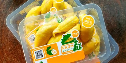 D197 musang king durian 猫山王榴莲