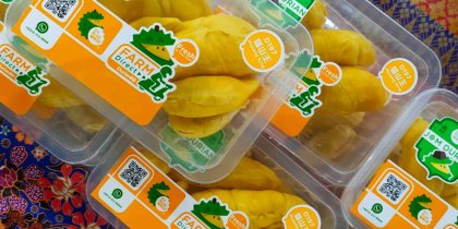 Musang King durian vacuum-sealed in packaging, ready for delivery.