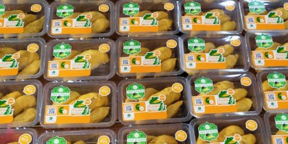 Fresh Musang King durian vacuum-sealed in packaging, ready for delivery.