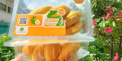Fresh Musang King Durian for Delivery