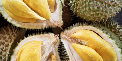 Fresh musang king durian mao shan wang 猫山王榴莲