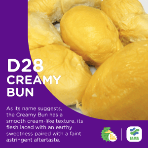 creamy bun durian