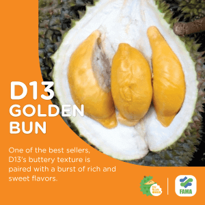 golden bun durian