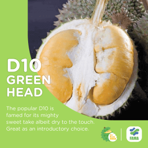 green head durian
