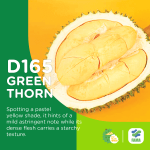 green thorn durian
