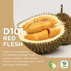 red flesh durian
