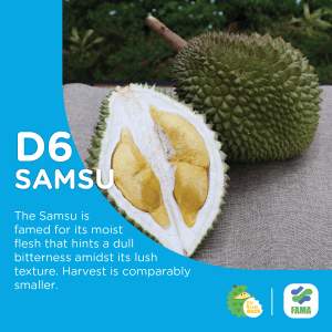 samsu durian