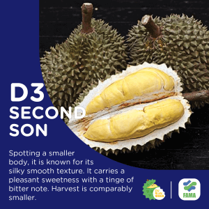 second son durian